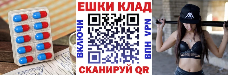 Купить закладки  Нерюнгри  Экстази Punisher 