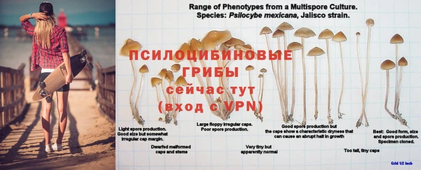 марихуана Балабаново