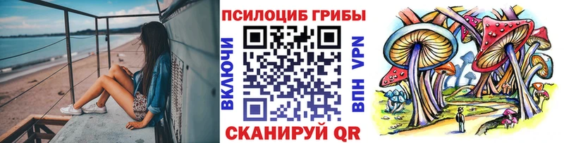 Псилоцибиновые грибы мицелий  Купить где  Нерюнгри 